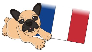 bej Fransız buldozer