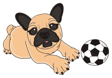 bej Fransız buldozer