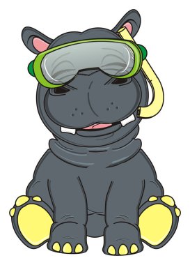 şirin gri su aygırı