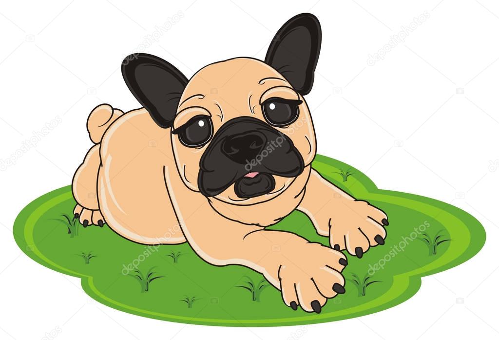 Bulldog Francés Color Beige Foto De Stock Tatty77tatty