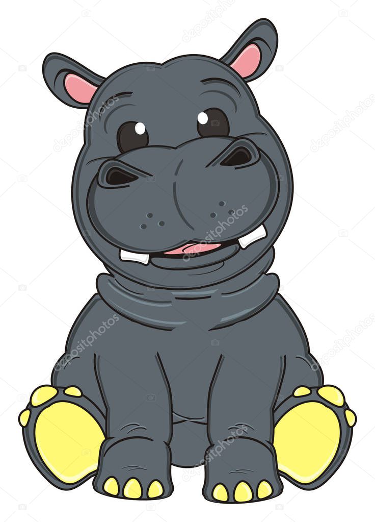 cute gray hippo
