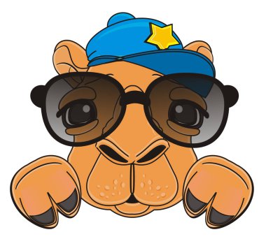 tatlı yetişkin kahverengi deve