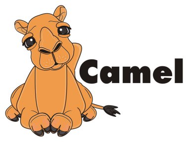 tatlı yetişkin kahverengi deve