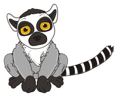 şirin gri lemur