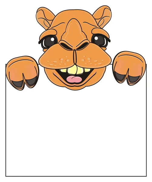 Söt glad brun kamel — Stockfoto