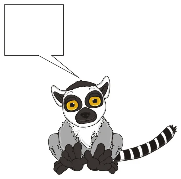 Söt grå lemur — Stockfoto