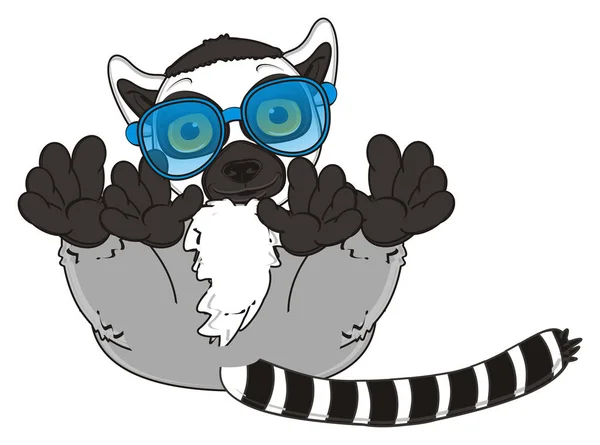 Leuke grijze lemur — Stockfoto