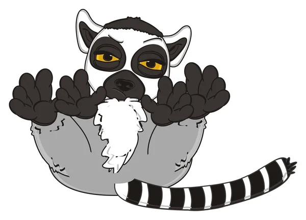 Ładny szary lemur — Zdjęcie stockowe