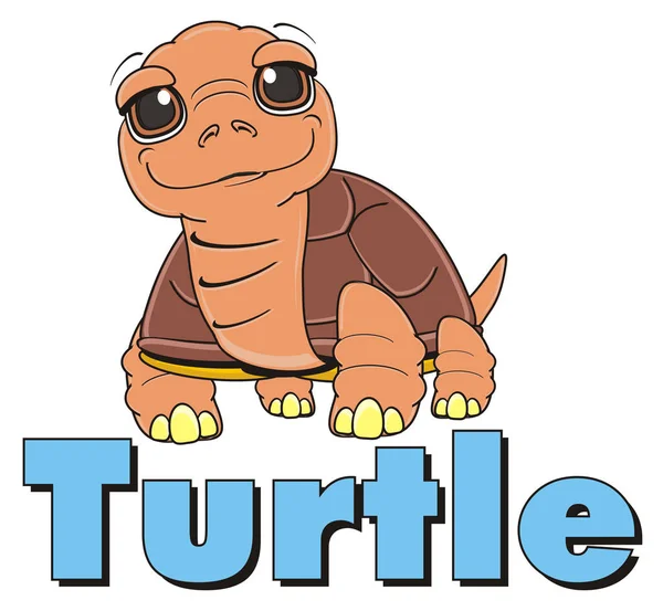 Schattige lachende bruin schildpad — Stockfoto