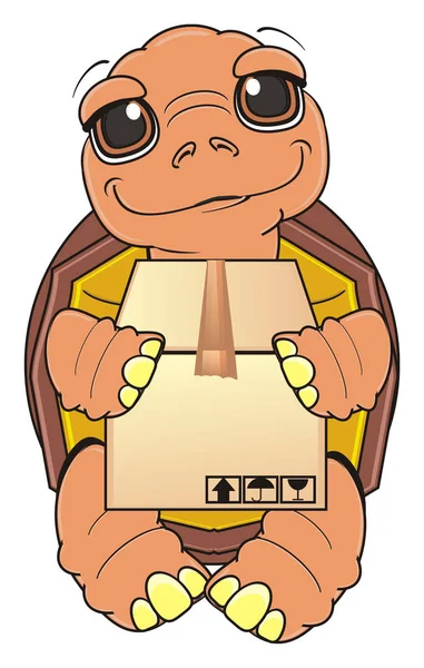 Söta leende brun sköldpadda — Stockfoto
