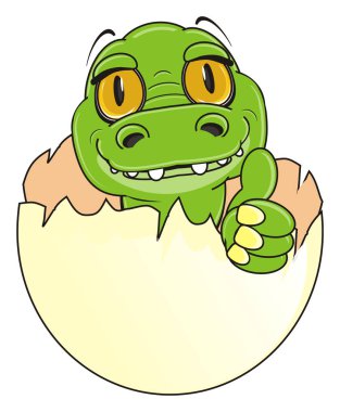 bebek timsah içinde yumurta üzerinde