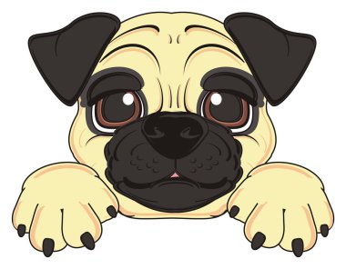 şirin bej pug