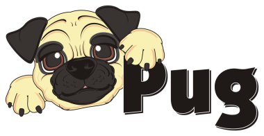 şirin bej pug