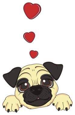 şirin bej pug