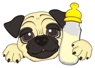 şirin bej pug