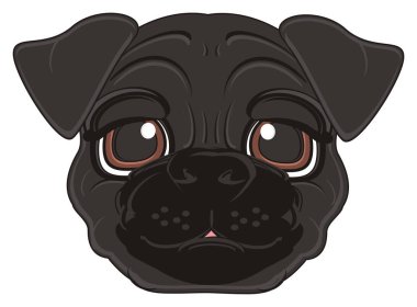 sevimli siyah boksör