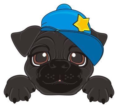 sevimli siyah boksör