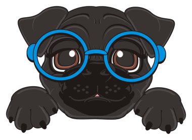 sevimli siyah boksör