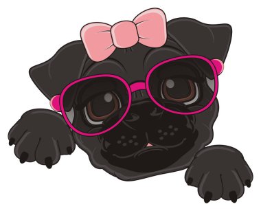 sevimli siyah boksör