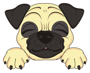 şirin bej pug