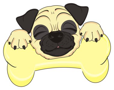 şirin bej pug