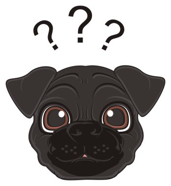 sevimli siyah boksör