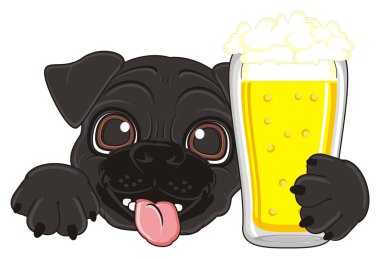 sevimli siyah boksör