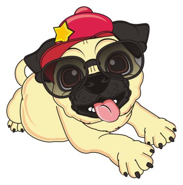 şirin bej pug