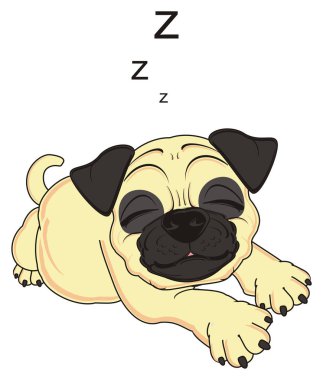 şirin bej pug