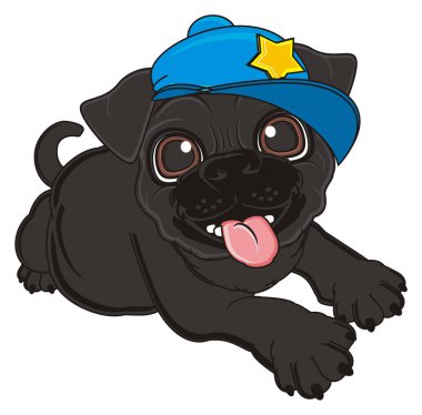 sevimli siyah boksör