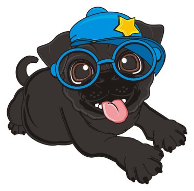 sevimli siyah boksör