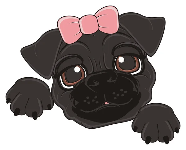 可爱的黑色的哈巴狗 — 图库照片