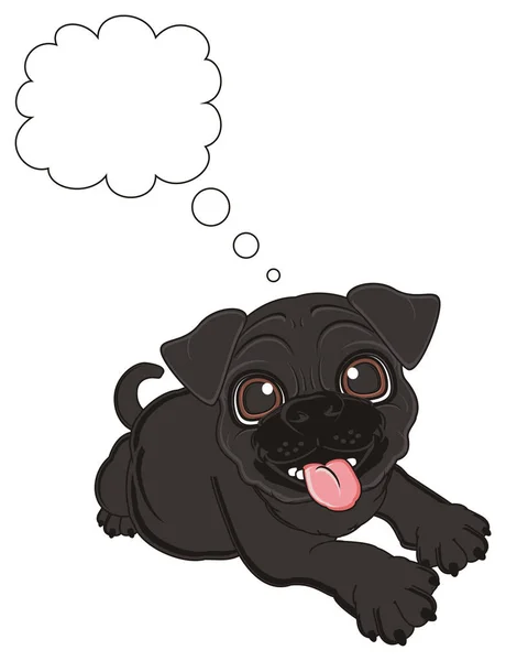 Cute black pug — Stock Photo, Image