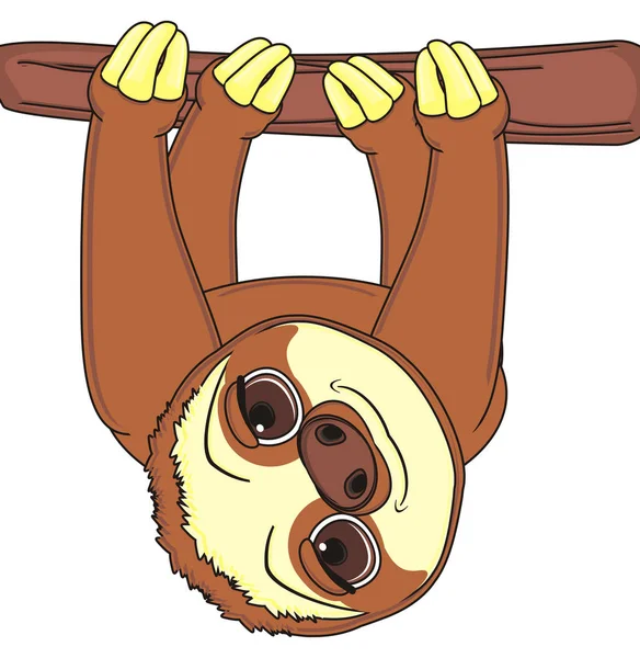 Pretty face of brown sloth — Stock Photo, Image