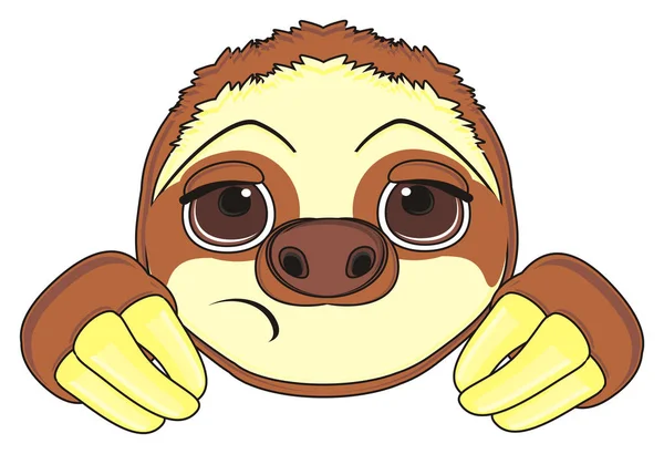Гарне обличчя коричневого лінивця — стокове фото