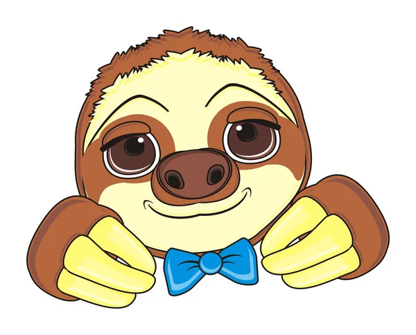 ใบหน้าสวยของ sloth สีน้ําตาล — ภาพถ่ายสต็อก