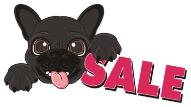 puppy of black french bulldog clipart