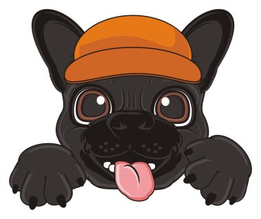 Siyah Fransız bulldog yavrusu