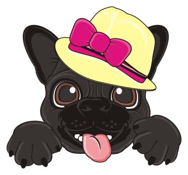 Siyah Fransız bulldog yavrusu