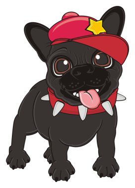 Siyah Fransız bulldog yavrusu