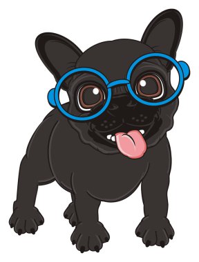 Siyah Fransız bulldog yavrusu