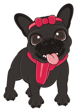 Siyah Fransız bulldog yavrusu