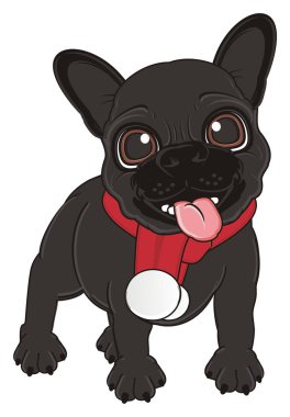 Siyah Fransız bulldog yavrusu