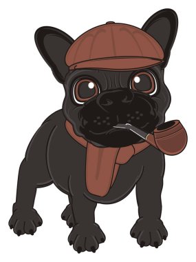 Siyah Fransız bulldog yavrusu