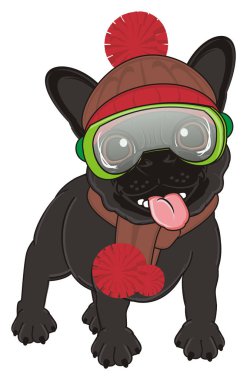 Siyah Fransız bulldog yavrusu