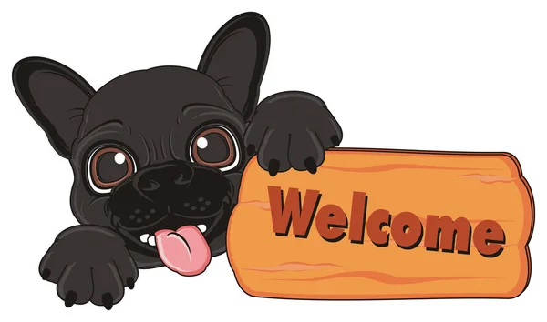 A fekete francia bulldog kiskutya — Stock Fotó