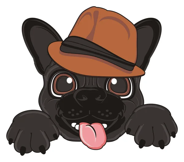 Puppy van zwarte Franse bulldog — Stockfoto