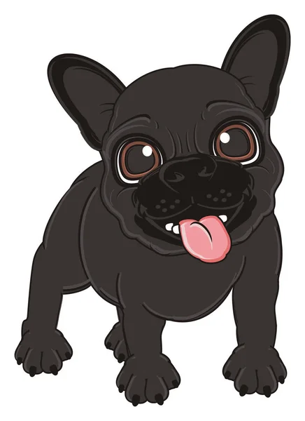 Filhote de cachorro preto francês bulldog — Fotografia de Stock
