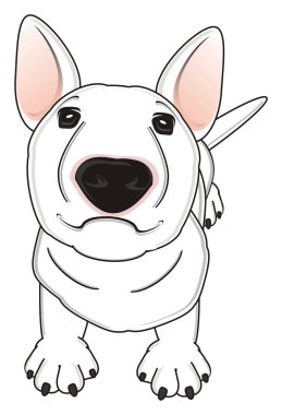 Beyaz boğa korkunç