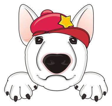 Beyaz boğa korkunç